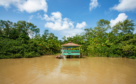 Trapiche de resid&ecirc;ncia t&iacute;pica em casa ribeirinha na beira de um rio no norte do Brasil, na floresta amaz&ocirc;nica. Barcos de madeira ancorados nas &aacute;rvores e troncos.