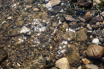 Seaweed on the beach