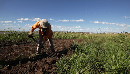 A man at the Dimbaza co-op outside of King Williams town in South Africa. The co-op is one of many that are vital for food security across the Eastern Cape Region 