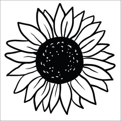 Sunflower. Vector image of hand drawn sunflowers isolated on white background at retro style