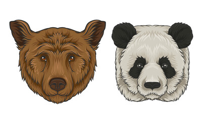 Brown Bear and Giant Panda Muzzle with Fur Vector Set