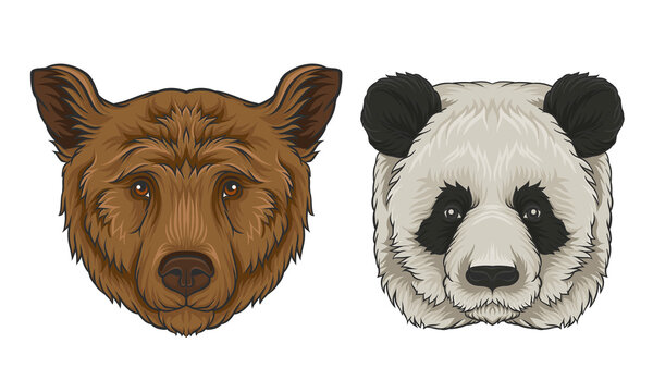 Brown Bear And Giant Panda Muzzle With Fur Vector Set