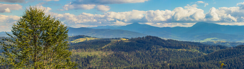 Beautiful mountain landscape panorama, with cloudy sky with a tree in the foreground. Carpathian Mountains