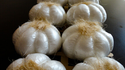Fresh harvesting garlic tied in bunches. Dried decorative garlic on the dark background