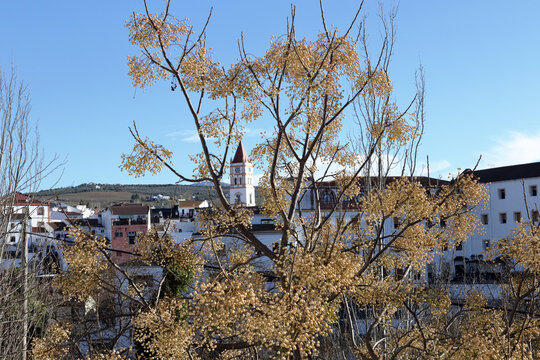 Arriate, Andalucia, Spain: a white village on a sunny day with low winter sunlight