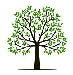 Shape of Tree with leaves. Vector outline Illustration. Plant in Garden.