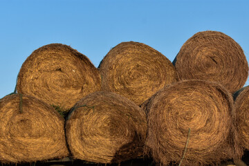 Hay bales on the farm