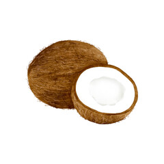 Watercolor Illustration of coconut. One whole and one cut in half isolated on white background.
