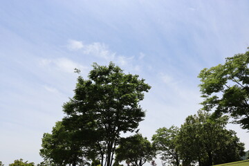 空を背景に綺麗な景色