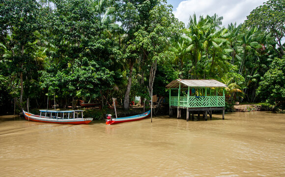 Trapiche de resid&ecirc;ncia t&iacute;pica em casa ribeirinha na beira de um rio no norte do Brasil, na floresta amaz&ocirc;nica. Barcos de madeira ancorados nas &aacute;rvores e troncos.