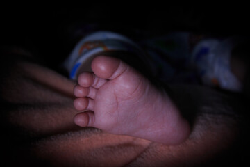 Fototapeta premium newborn baby feet