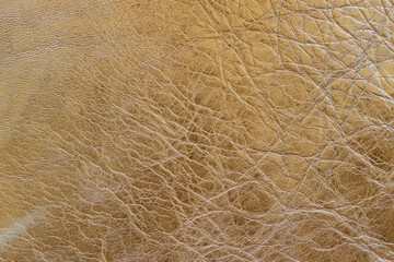 Texture of genuine crumpled leather with wrinkles, golden color, natural background