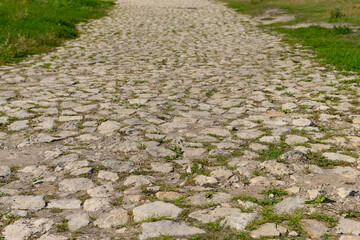 Walking path made of cobblestones in a green clearing