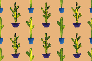 Fototapeta na wymiar Cactus in the pot. Seamless pattern. Hand drawn houseplant illustration. Exotic plant with spikes
