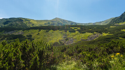 Fototapeta premium Amazing mountain landscape with blue sky with white clouds, sunny summer day in Carpathians, Ukraine.