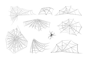 A black spider hangs on a web. Scary spiderweb of halloween symbol. Realistic  silhouette.Vector illustration.
