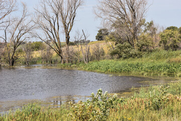 landscape with lake