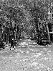 street in paris