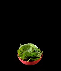 Fresh spinach leaves on a bowl with black background. healthy food concept