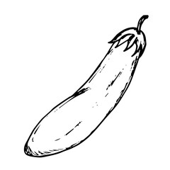 Eggplant hand drawn icon