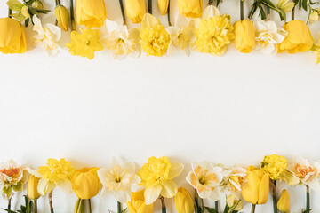 Frame with blank copy space made of yellow narcissus and tulip flowers on white background. Flat lay, top view floral festive holiday concept
