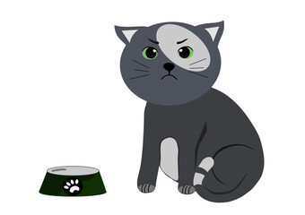 vector graphics, cartoon angry gray cat sitting at an empty bowl