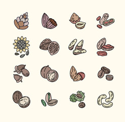 Set of nuts ann seeds vector illustration. Line flat illustration