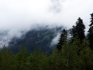 Morning landscape. Fog high in the mountains.