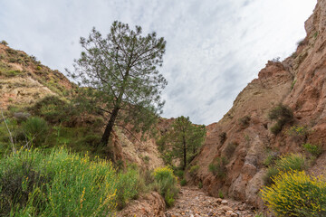 mountainous landscape in southern Spain