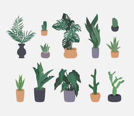 Fototapeta na wymiar Potted plants collection. Homeplants, cactus, ficus and tropical leaves. Vector illustration