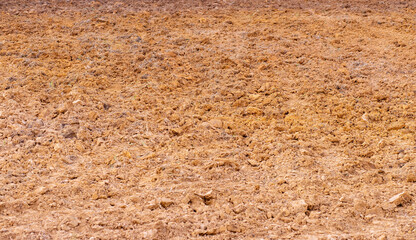 Tropical laterite soil background.