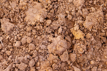Tropical laterite soil background.
