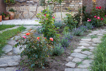 Obraz premium flowerbed in the garden - roses and lavender flowers