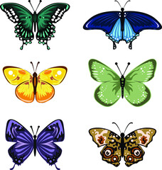Butterflies isolated on white background for book illustration - Vector