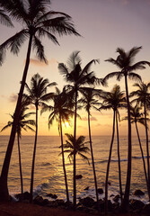 Obraz na płótnie Canvas Beautiful tropical sunset with coconut palm trees silhouettes.