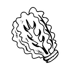 Lettuce Hand Drawn Icon