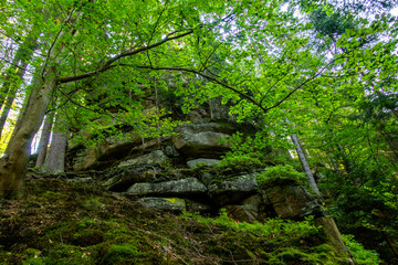 Ruiny bunkier kamienie skały las drzewa karkonoski park narodowy karkonosze - obrazy, fototapety, plakaty