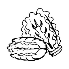 Lettuce Hand Drawn Icon