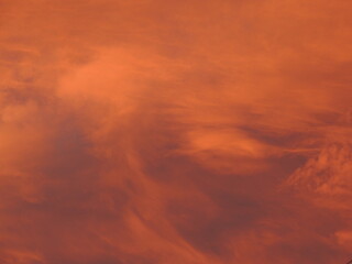 Cielo