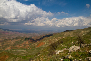 Beautiful landscape of green meadow covered with fresh grass in the summer mountains. Forest glade high in the mountains