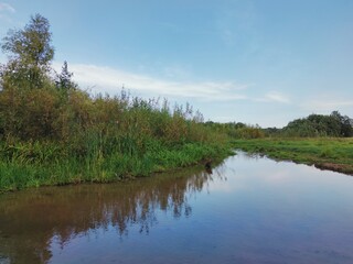 Fototapeta na wymiar small river between green banks against a beautiful blue sky