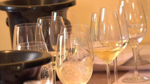 Wine tasting glasses, white wine, professional taster