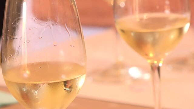 Wine tasting glasses, white wine, professional taster