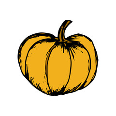 Pumpkin hand drawn sketch icon