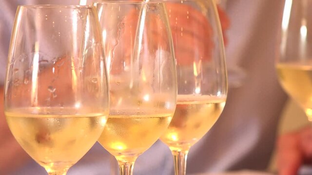 Wine tasting glasses, white wine, professional taster