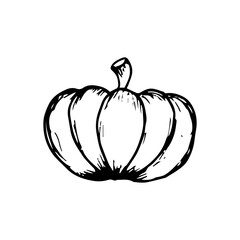 Pumpkin hand drawn sketch icon