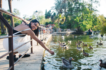 Happy caucasian 20s woman looking at camera giving food to domestic birds on lake in city park recreating on vacations, smiling female traveler feeding ducks and swans having fun on weekends in town