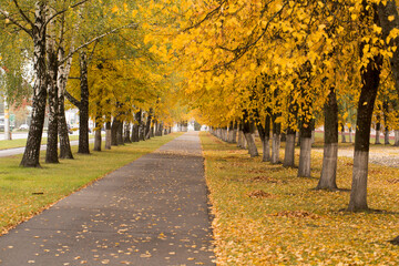 Naklejka premium Landscape autumn time