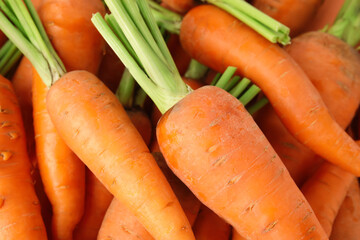 Fresh ripe carrots as background, closeup view