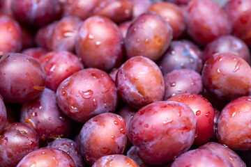 Ripe washed plums close up. Abstract background.